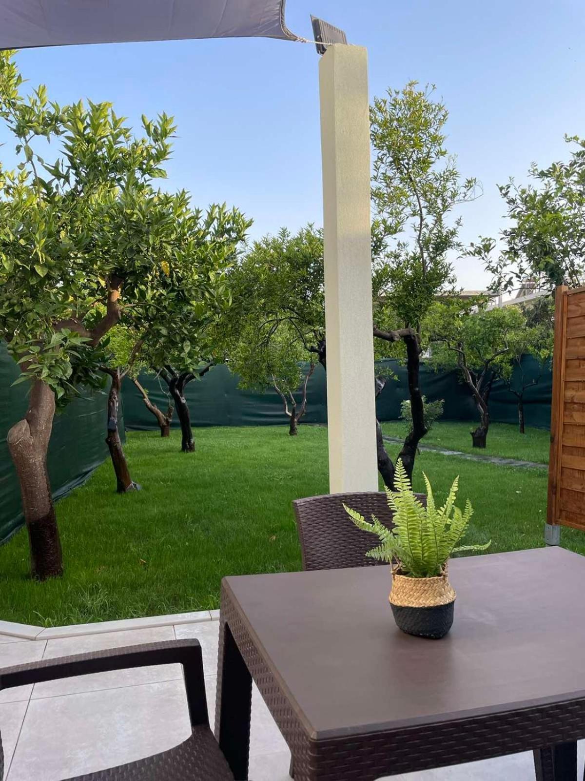 Manolis Cozy Home خانيا المظهر الخارجي الصورة